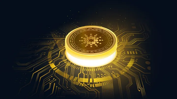 加密货币应用场景_分析加密货币在医疗行业的潜在应用：提升支付效率与服务体验_加密货币的价值支撑