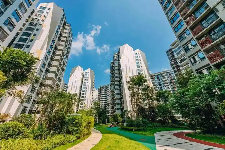 理解数字货币在智能城市建设中的角色：推动城市生活的数字化转型_数字货币推行城市_数字化货币改革