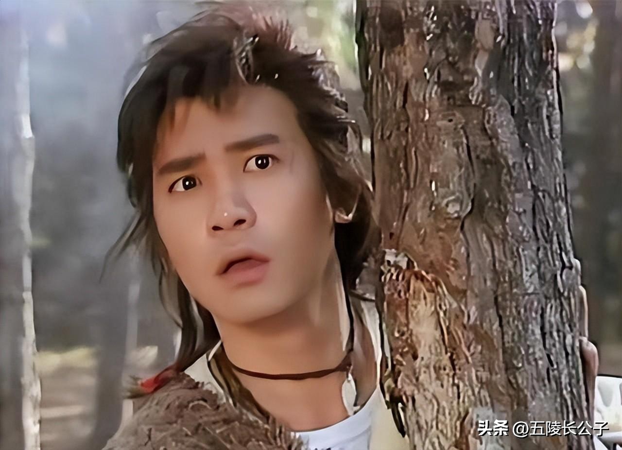 刘德华武侠片_刘德华的经典武侠片与角色_刘德华主演的武打片
