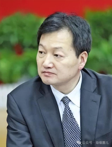 战略管理企业_企业战略管理由谁来做_秦英林的企业管理与发展战略