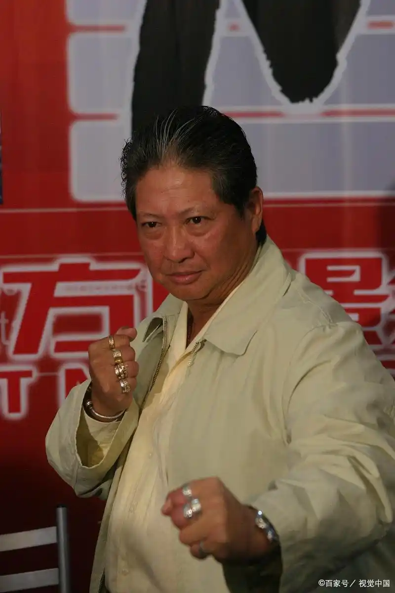 武术华语电影甄子丹大师演员表_甄子丹：华语电影的武术大师_武术华语电影甄子丹大师是谁