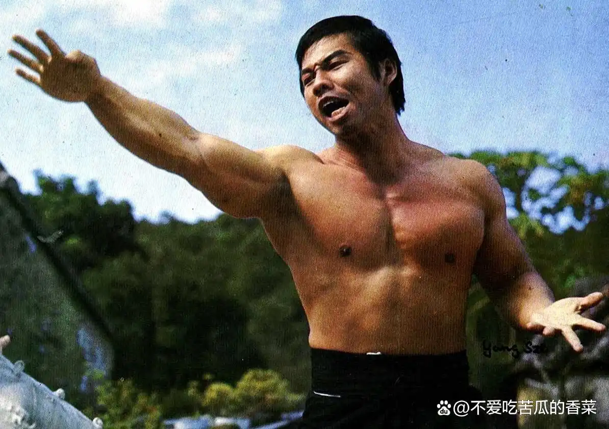 武术华语电影甄子丹大师演员表_武术华语电影甄子丹大师是谁_甄子丹：华语电影的武术大师