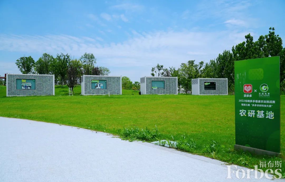 黄峥的市场营销策略与成功案例_成功的市场营销策划案例_成功市场营销案例分析