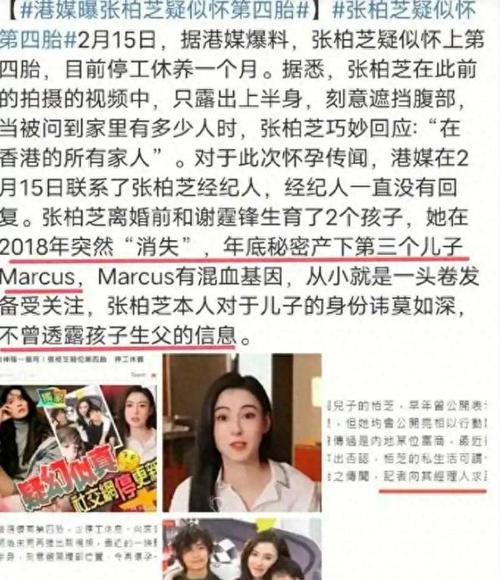 戛纳电影节红毯网红_戛纳红毯网红_张柏芝的时尚风格与红毯魅力