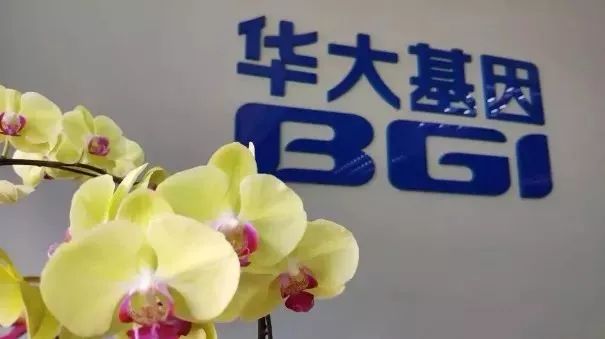 比特交易平台的创始人是谁_比特币投资者工具_比特币在创投市场中的价值：助力初创企业融资新方式