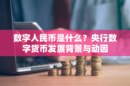 数字货币与可持续发展_货币数字化趋势_货币数字持续发展可行性研究