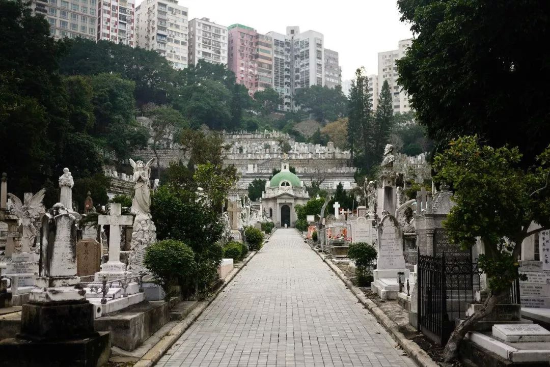 众星眼中的张国荣_张国荣在公众心中的形象_张国荣公众号