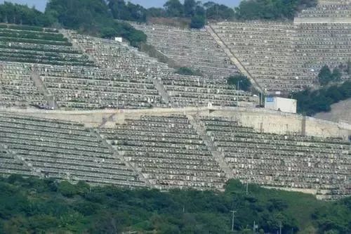 张国荣公众号_众星眼中的张国荣_张国荣在公众心中的形象